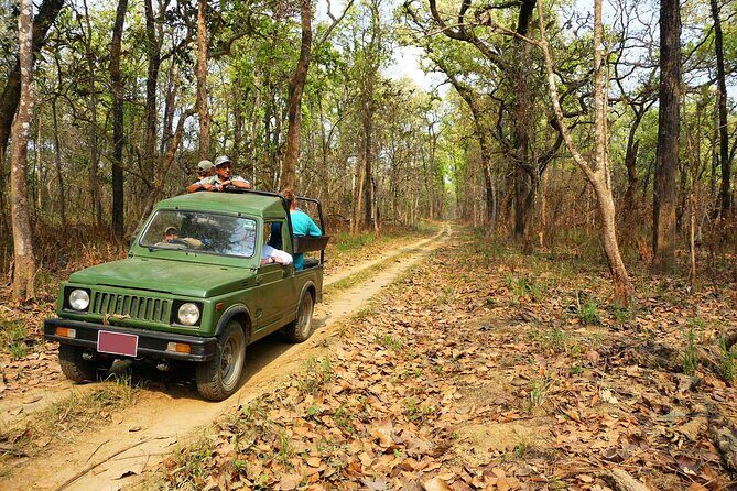 Chitwan Jungle Safari 3-Day Tour - What the Tour Includes and What to Keep in Mind