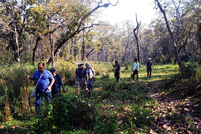 Chitwan Jungle Safari 3-Day Tour - The Authentic Experience: What Travelers Say