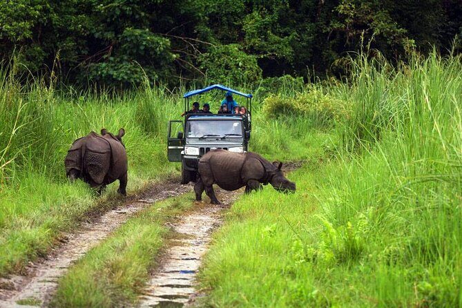 Chitwan Jungle Safari 3-Day Tour - FAQs
