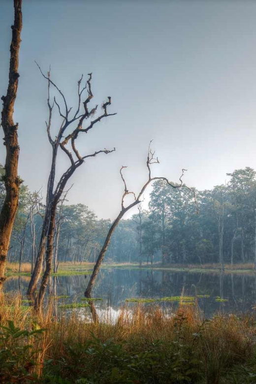 chitwan-jungle-safari-3-day-wildlife-expedition