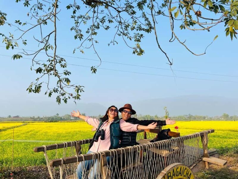 Chitwan Jungle Safari 3 Days- From Kathmandu or Pokhara - What to Expect from the Chitwan Jungle Safari