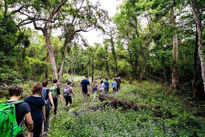 Chitwan Jungle Safari All-Inclusive Package from Kathmandu - Final Thoughts