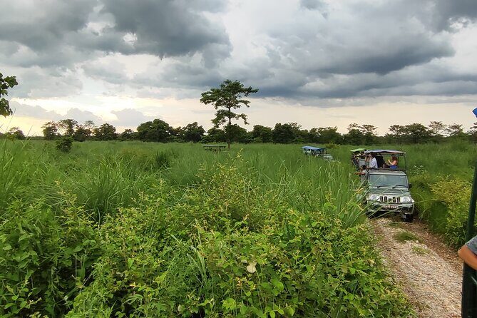 Chitwan Jungle Safari from Kathmandu and Back Multi Day Tour - Authentic Experiences & Review Highlights