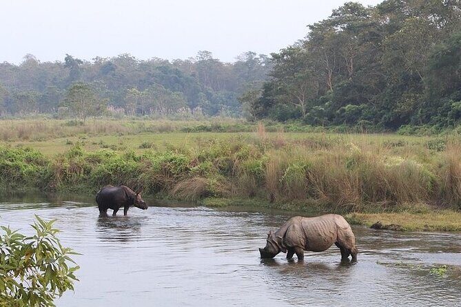 Chitwan Jungle Safari from Kathmandu and Back Multi Day Tour - Who Will Love This Tour?