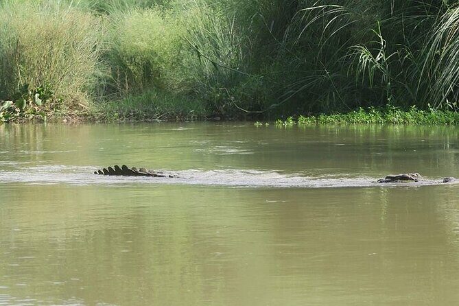 Chitwan Jungle Safari from Kathmandu and Back Multi Day Tour - FAQ