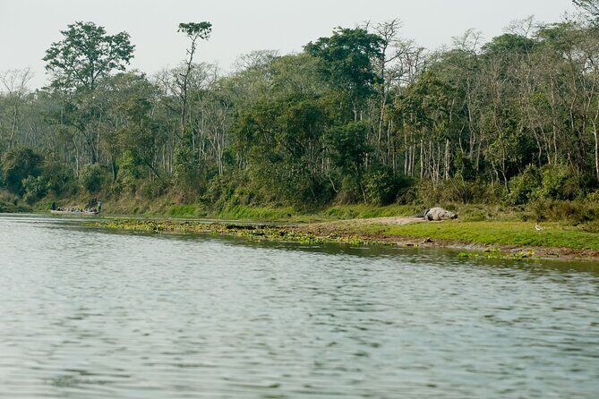Chitwan Jungle Safari from Kathmandu Pokhara - The Sum Up: Is This Tour Right for You?