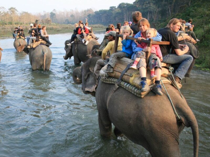 chitwan-jungle-safari-tour-3-day-chitwan-national-park-tour