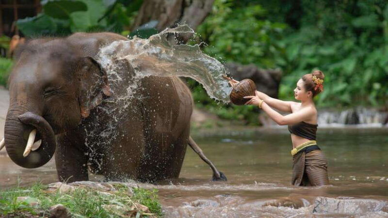 chitwan-jungle-safari-tour-with-canoe-ride-in-forest-river