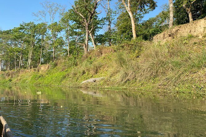 Chitwan Jungle Safari with Overnight Stay - An In-Depth Look at the Chitwan Jungle Safari