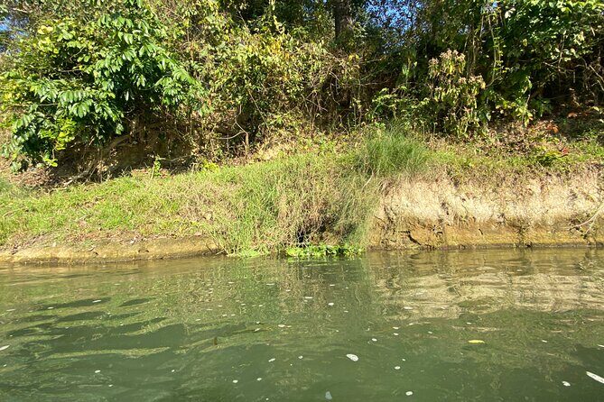 Chitwan Jungle Safari with Overnight Stay - FAQs