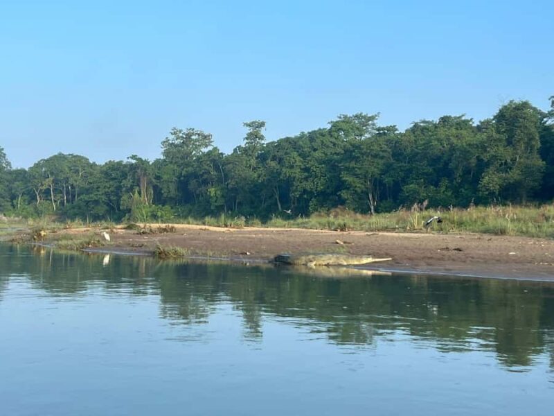 Chitwan National Park-2 night 3 days jungle safari - Exploring the Itinerary in Detail
