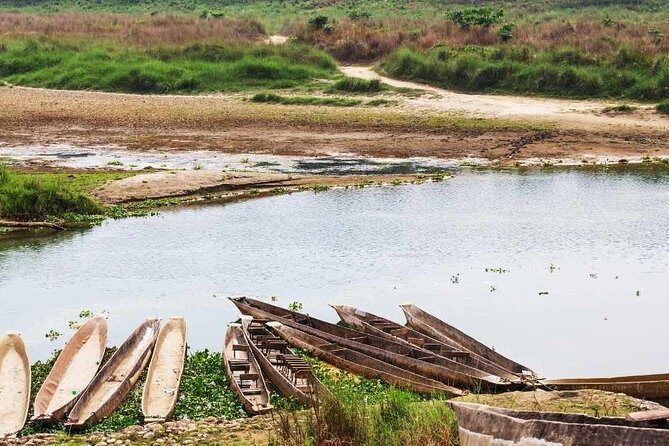 Chitwan National Park Jungle Safari Tours 3 days - Day 1 Activities: Setting the Scene