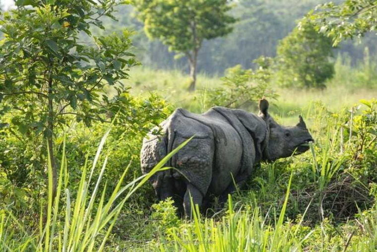 chitwan-national-park-tour