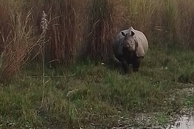 Chitwan National Park Unique Activities From Untouched Side Madi - Is This Tour Worth the Price?