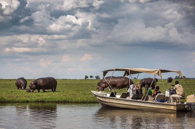 Chobe Boat Cruise & Game Drive Day Trip From Livingstone - Introduction