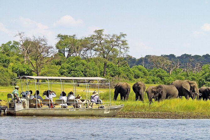 Chobe Boat Cruise & Game Drive Day Trip From Livingstone - Key Points
