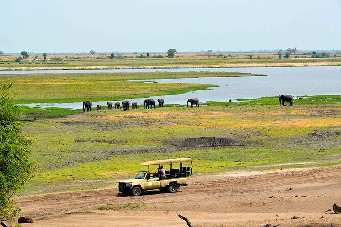 Chobe Boat Cruise & Game Drive Day Trip From Livingstone - Authentic Experiences from Travelers