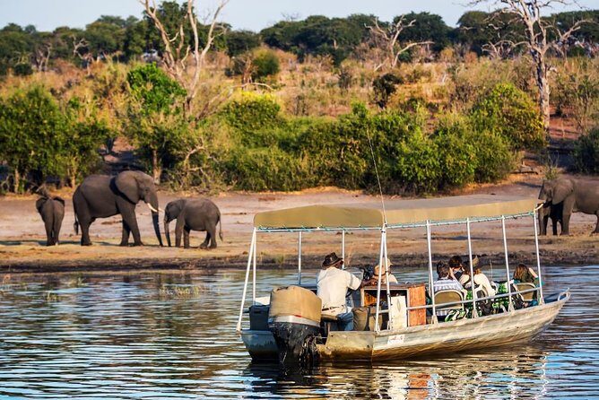 Chobe Day Trip - Key Points
