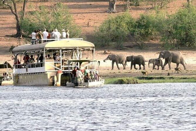 Chobe Day Trip - Key Points