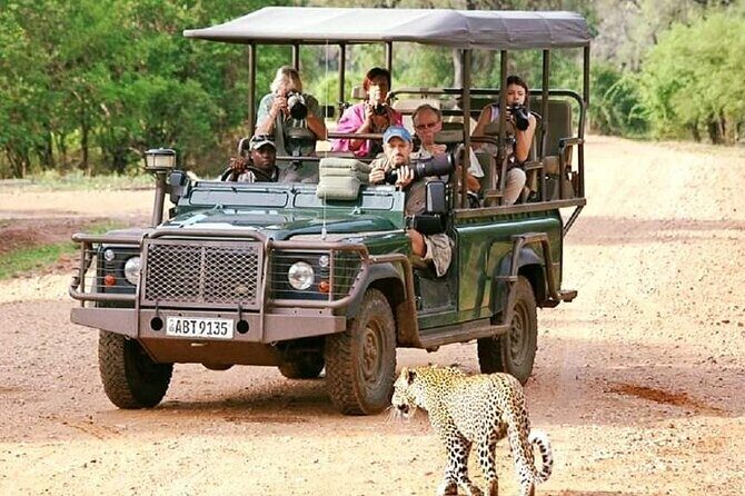 Chobe Day Trip - Why This Tour Offers Good Value