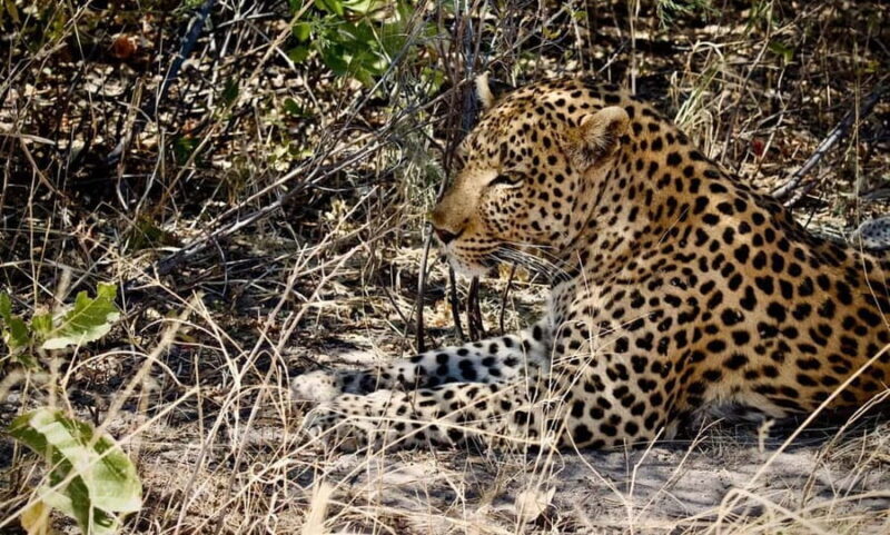 Chobe Day Trip - FAQs