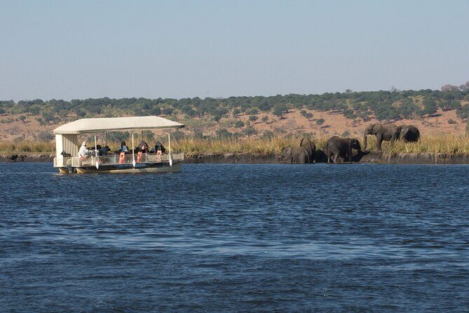 Chobe Day Trip - Why Choose the Chobe Day Trip?