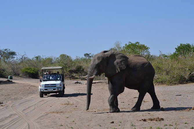 Chobe Day Trip - The Value Proposition