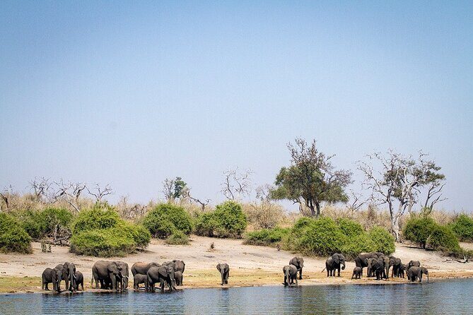 Chobe Day Trip - FAQ