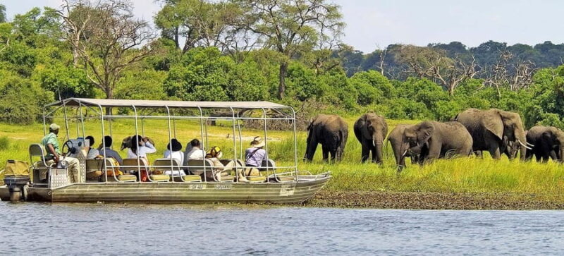 Chobe Day Trip From Livingstone Town - Key Points