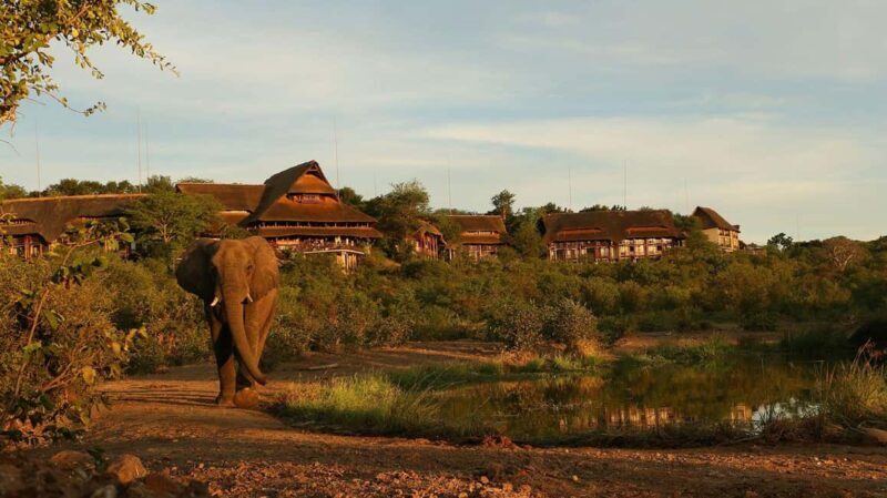 Chobe Day Trip From Livingstone Town - An In-Depth Look at the Chobe Day Trip