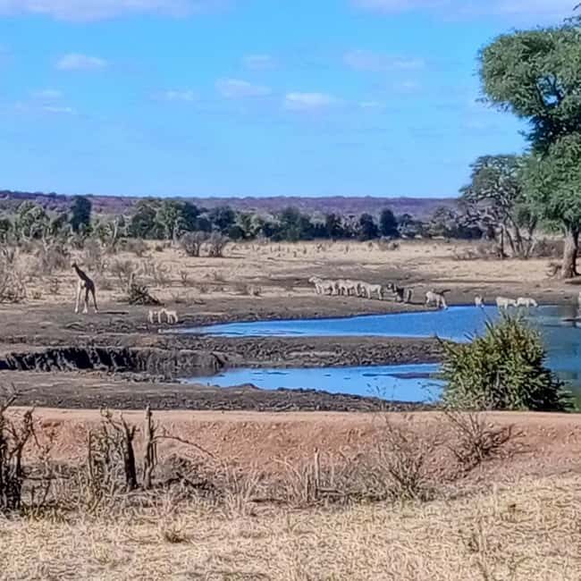 Chobe day trip from Victoria Falls- 06:30am to 18:30 hours - Key Points