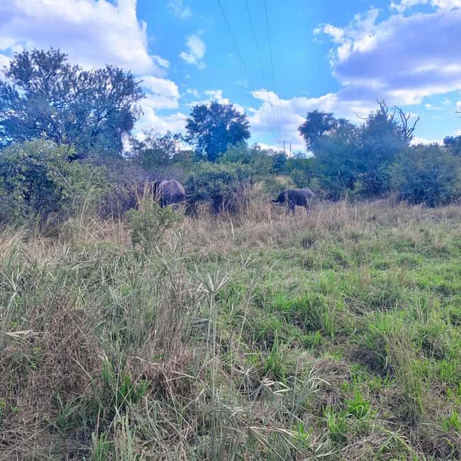 Chobe day trip from Victoria Falls- 06:30am to 18:30 hours - FAQ