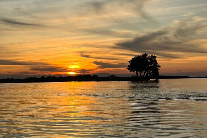 Chobe Day Trip from Victoria Falls - Key Points