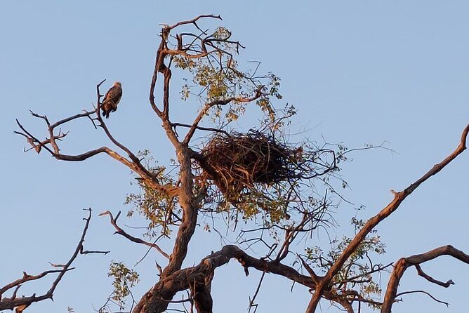 Chobe Day Trip from Victoria Falls - FAQ
