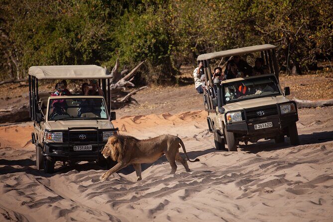 Chobe Day Trip From Victoria Falls - Key Points