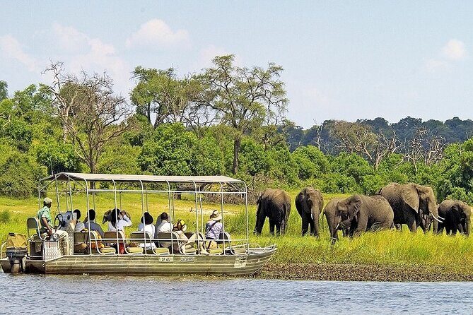 Chobe Day Trip From Victoria Falls - The Itinerary in Detail