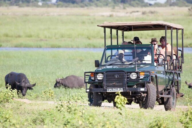 Chobe Day Trip From Victoria Falls - The Sum Up