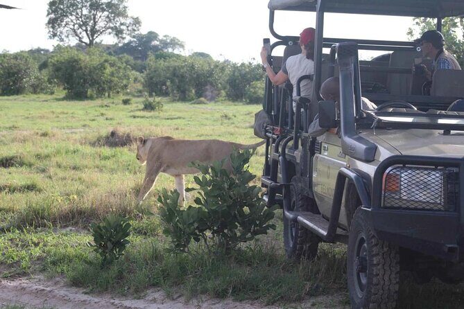 Chobe Day Trip From Victoria Falls - FAQ