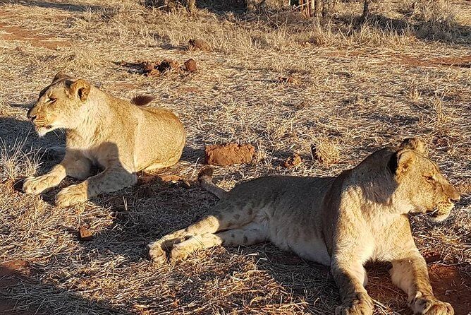 Chobe Day Trip from Victoria Falls - FAQ