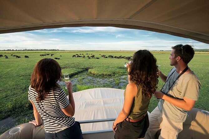 Chobe Day Trip From Victoria Falls Zimbabwe - Key Points  