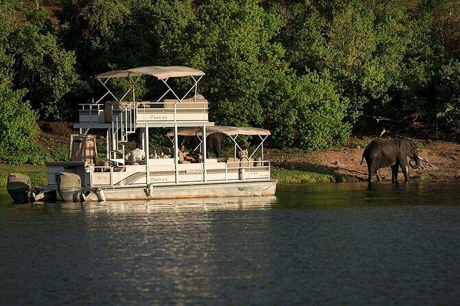 Chobe Day Trip From Victoria Falls Zimbabwe - Transportation and Practicalities