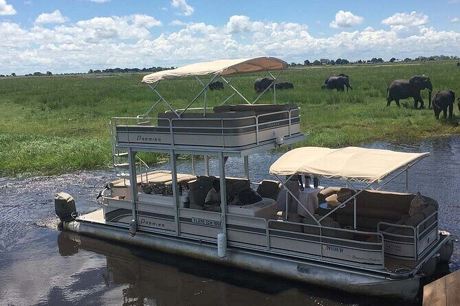 Chobe Day Trip From Victoria Falls Zimbabwe - Who Will Love This Tour?