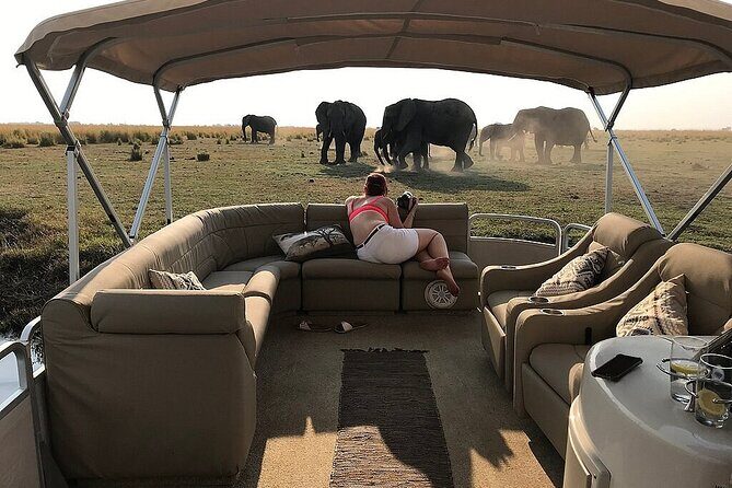 Chobe Day Trip From Victoria Falls Zimbabwe - The Sum Up