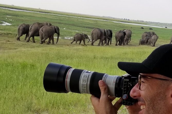 Chobe Day Trip From Victoria Falls Zimbabwe - Final Words