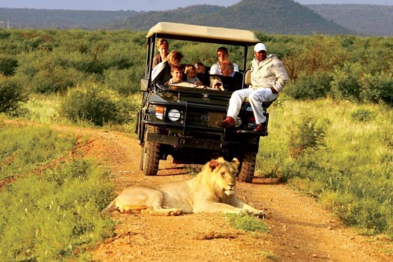 Chobe Full Day Safari from Livingstone - Introduction