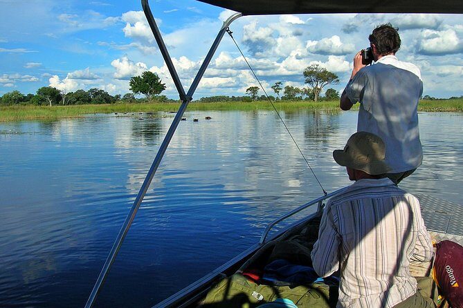 Chobe Full Day Safari From Victoria Falls - A Full Breakdown of the Chobe Full Day Safari