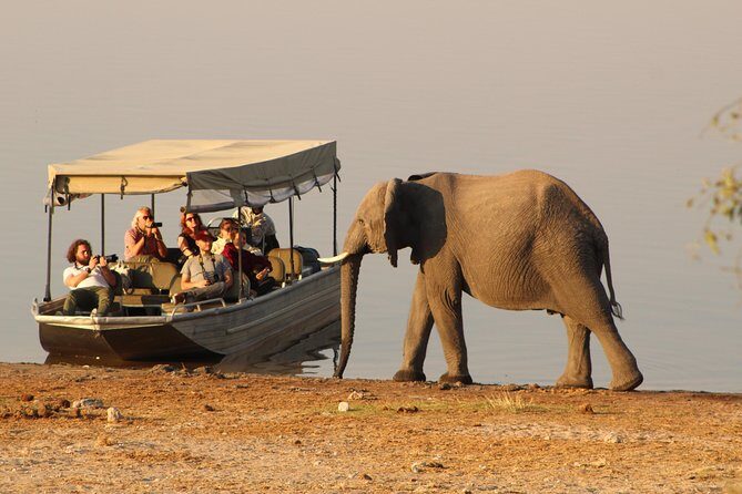 Chobe Full day Safari: Game Drive & Boat Safari with Lunch - Key Points