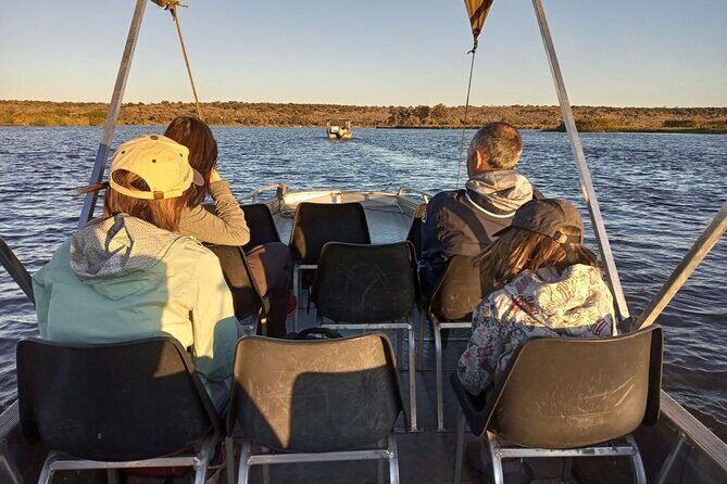 Chobe Full day Safari: Game Drive & Boat Safari with Lunch - Introduction: A Day in the Heart of Botswana’s Wildlife
