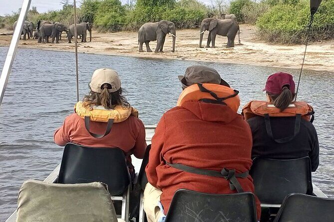 Chobe Full day Safari: Game Drive & Boat Safari with Lunch - The Sum Up