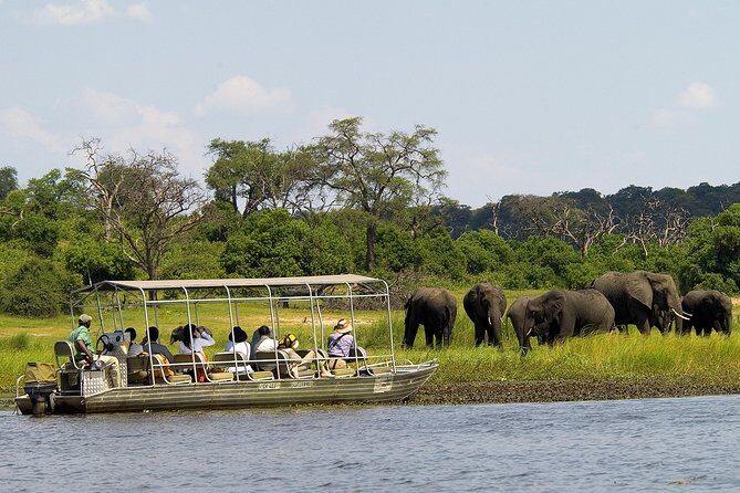 Chobe Full Day Safari Trip - The Itinerary: What to Expect on Your Day